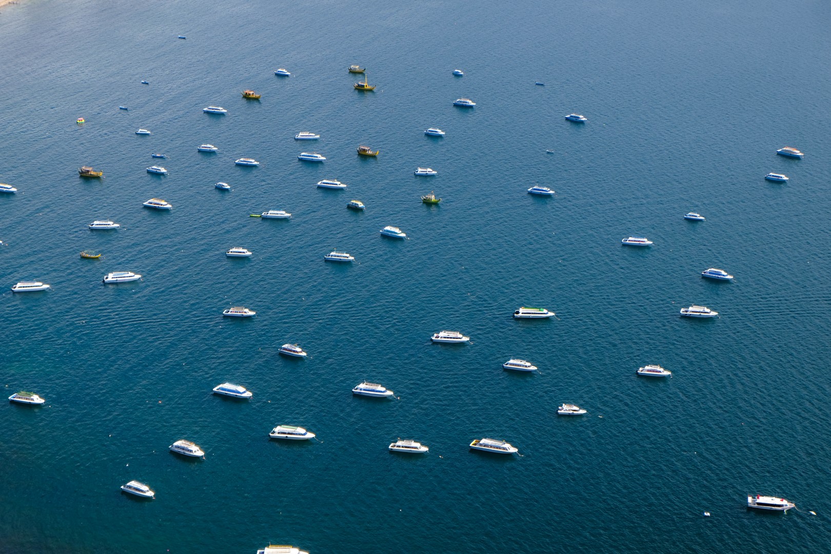 Nakšņot gliemezī, bruņurupucī vai debesīs? Tas viss iespējams Kopakabanā.